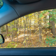 Illustration for article titled 2019-10-19 Driving the Thousand Islands Parkway